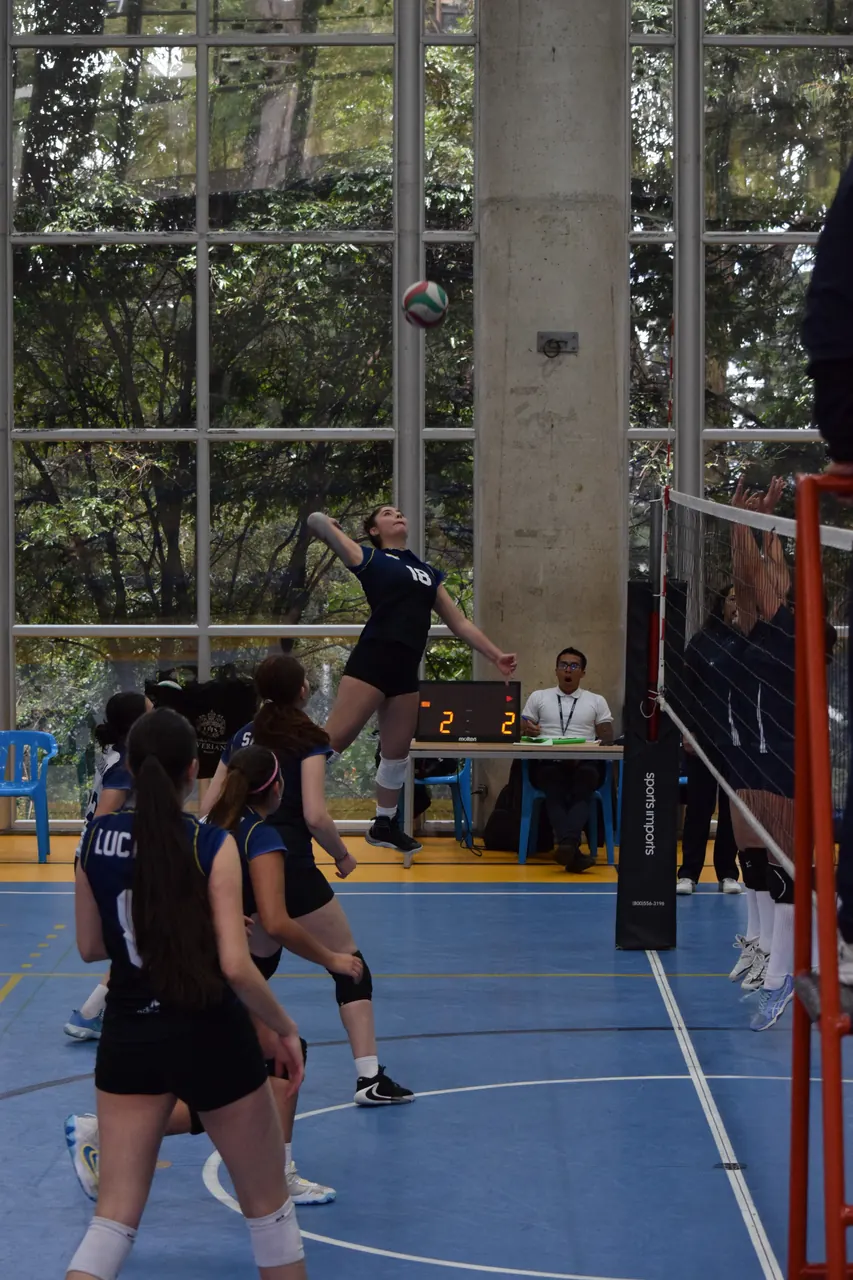 La fuerza del colectivo — foto 11